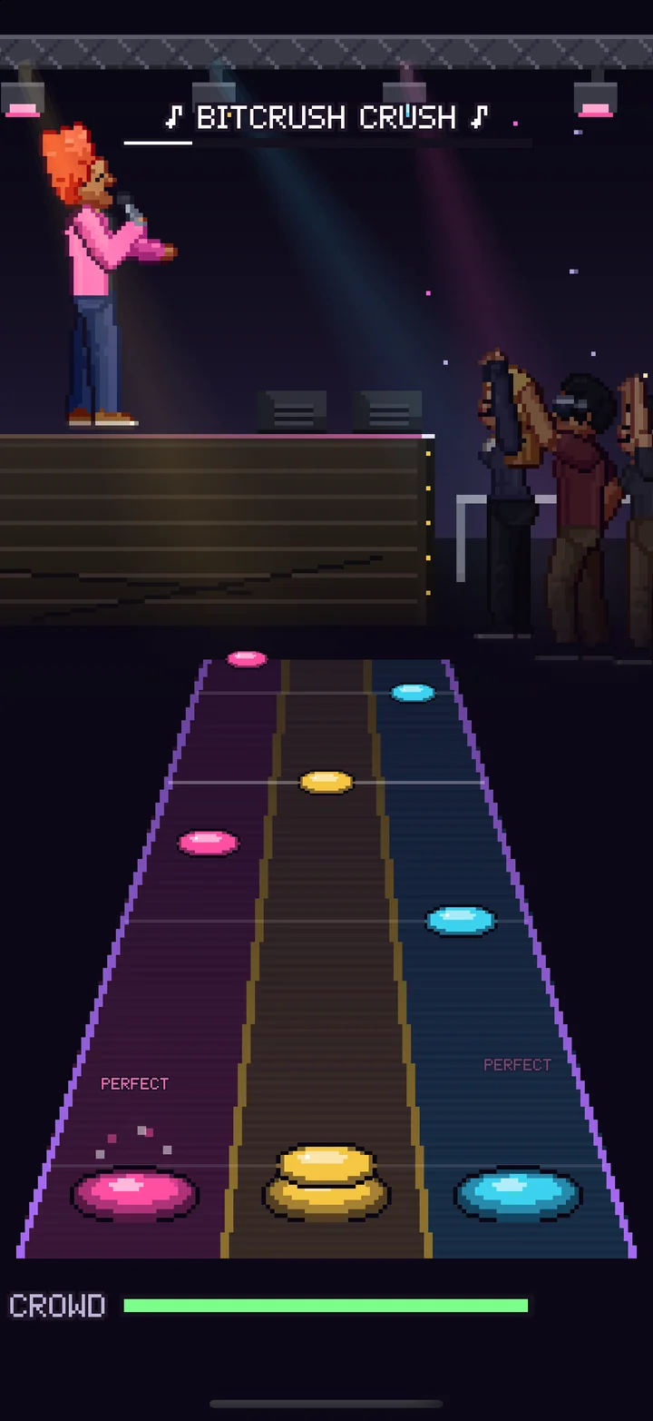 Playing a live show with the crowd going wild